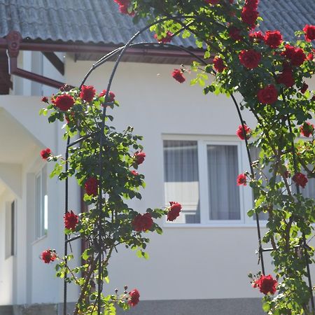 Гостевой дом Casa Maria Prundul Birgaului Экстерьер фото